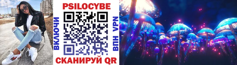 Галлюциногенные грибы Cubensis  Купить закладки  Кузнецк 